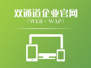 技術(shù)開(kāi)發(fā)服務(wù) 驅(qū)動(dòng)創(chuàng)新與高效解決方案