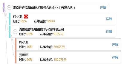 湖南迷你泓增值技術服務合伙企業（有限合伙）綜合信息概覽
